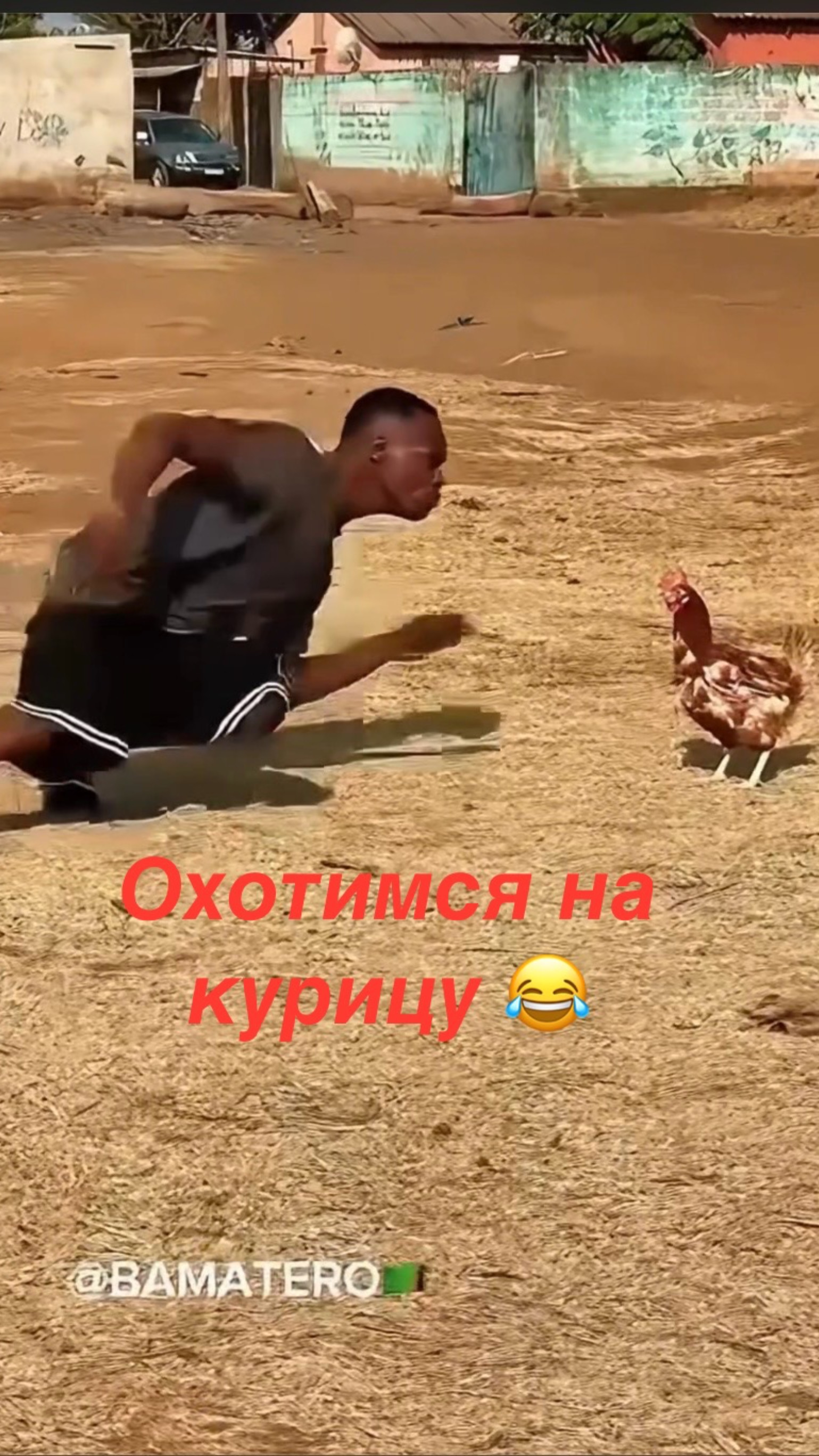 Тренировка охота на курицу 🤩