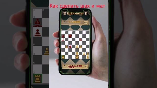 как сделать шах и мат.