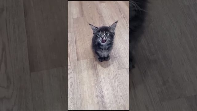 1000009713.mp4
