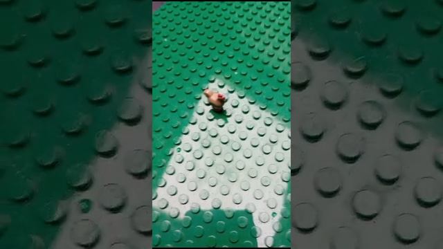 VID-20241021-WA0010