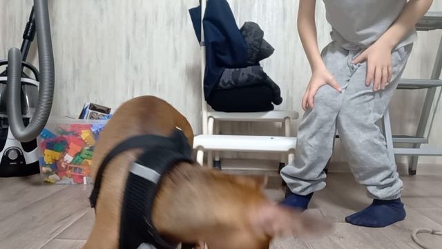 VID20241022223618.mp4