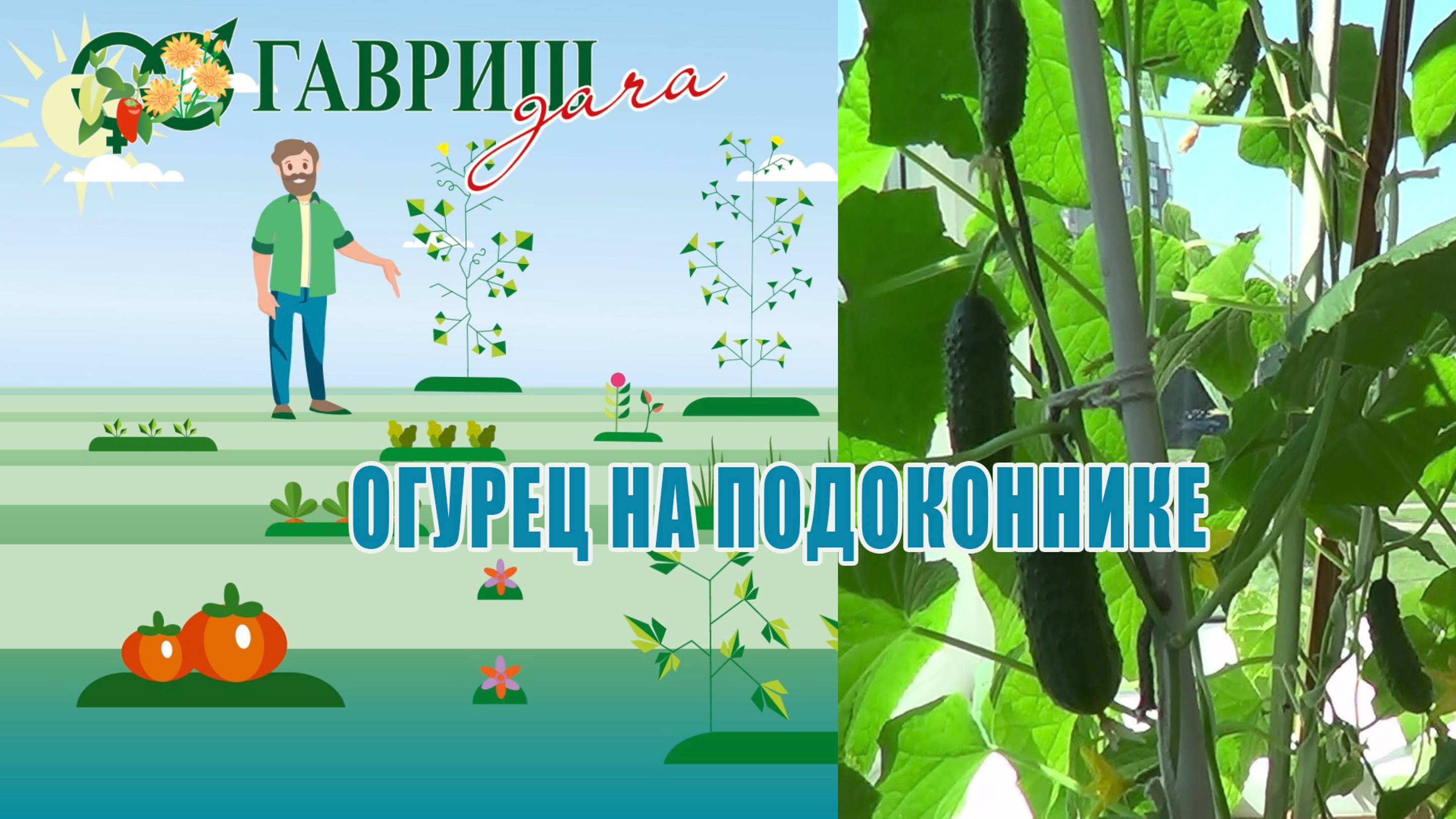 НАШИ РУКИ НЕ ДЛЯ СКУКИ