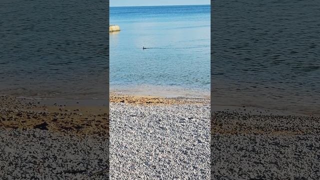 Тепло вернулось в Крым.Морюшко блестит,бабочки летают,и небо голубое