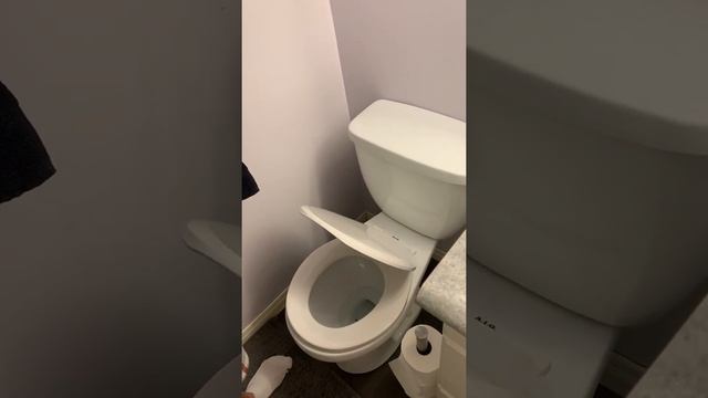 For Living round safety close toilet seat review video