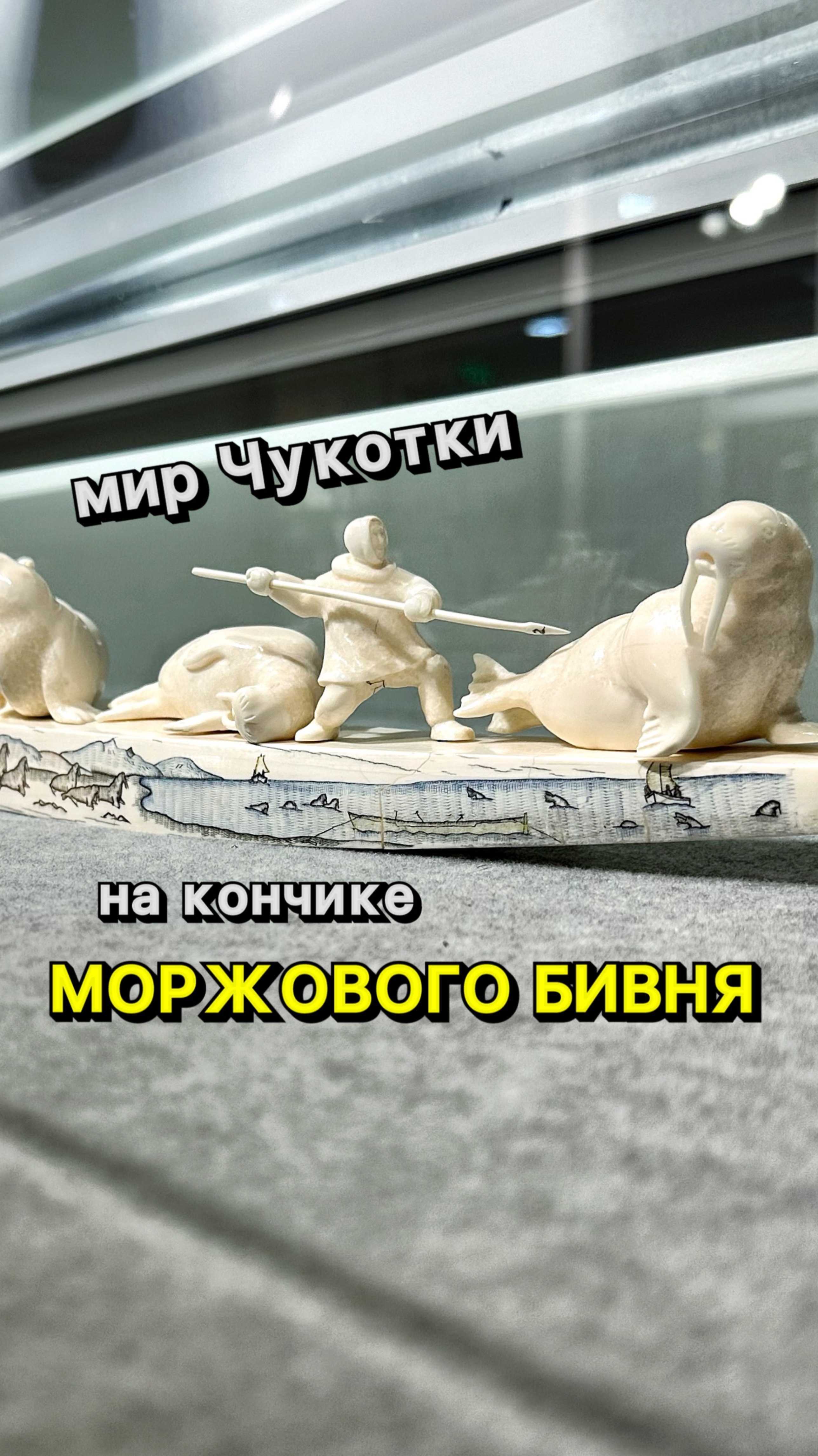 Удивительный мир Чукотки на кончике моржового бивня