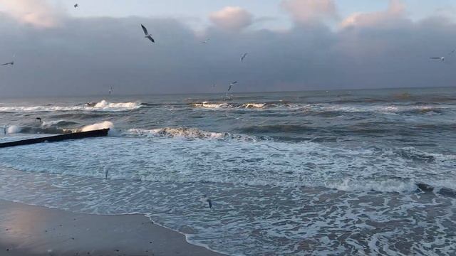 Baltic Sea in Zelenogradsk, Russia