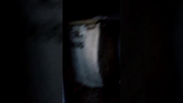 VID-20241004-WA0000.mp4