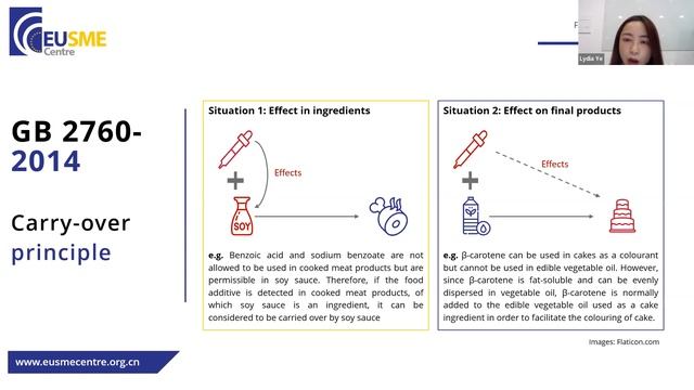 Food Additives in China January 2023 webinar recording