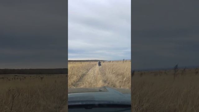 КВАДУРА