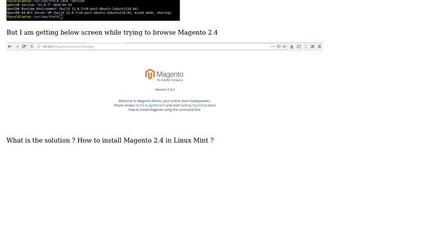 Magento: Installing Magento 2.4 in Linux Mint (3 Solutions!!)