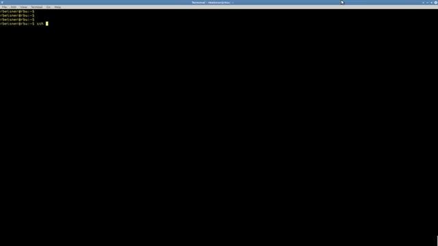 Remote linux server admin tools  dedicated server, linux virtual server hosting clip 1 1