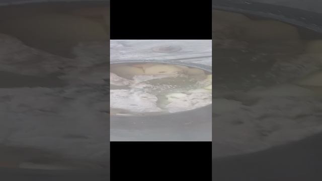 1000002747.mp4
