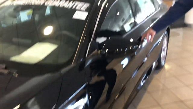 2019 Accord for Julie from Trent Tate with Tameron Honda in Hoover, AL