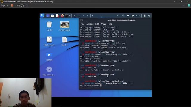 PENERAPAN STEGHIDE WHOIS IPLOCATION & DNSDUMSTER