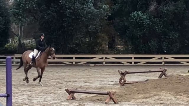 George Morris Clinic2- Alli Christy