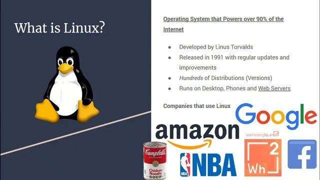 Linux Web Hosting for beginners - Web Hosting 101