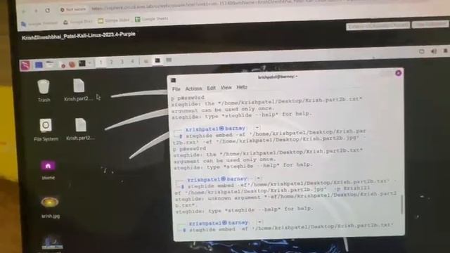 Comp552 lab 7 Krish Patel Part2b install steghide in Kali Linux