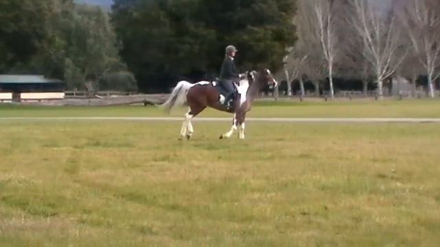 Day 2 Eve Hawes Eventing Clinic