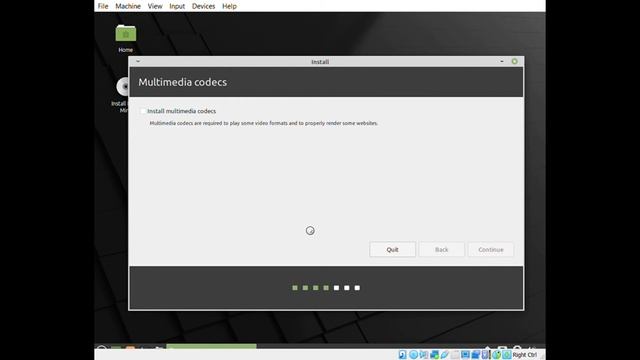 Linuxmint 20  basic installation
