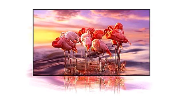 Best 43 Inch TVs To Buy Online In India | Buying Guide For TVs In India