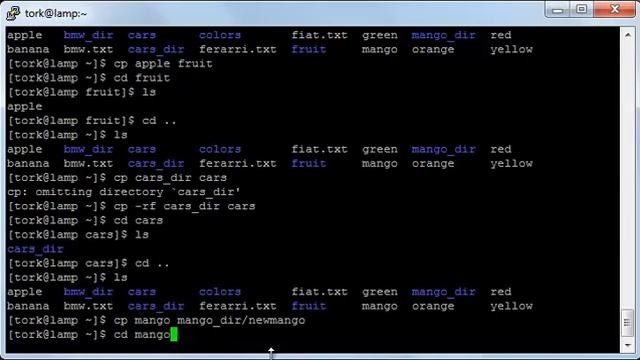 Learning LINUX CentOS From Scratch || Copy Move and Rename files and directories