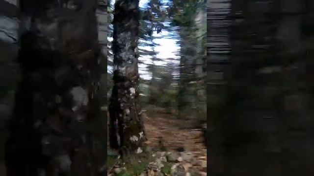 Джип Сафари в Греции