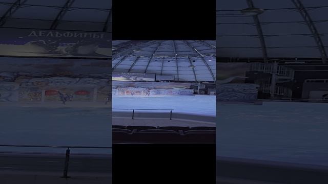 Дельфинарий Новосибирск 10.10.2024