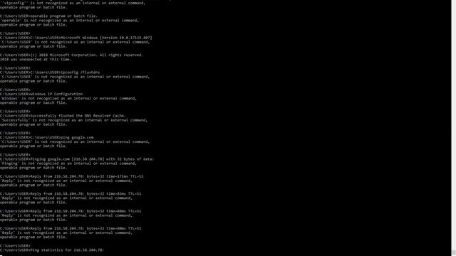 I tried using the commend ipconfig /flushdns but then....