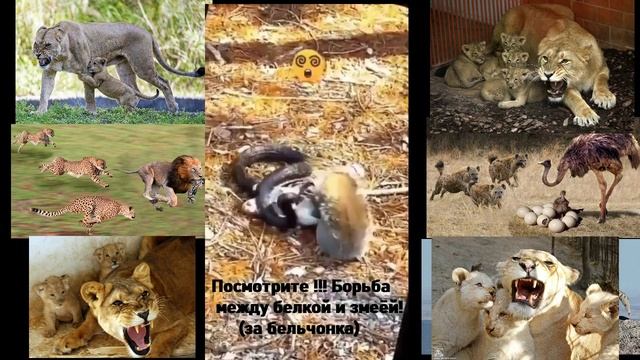 Мы обязательно прорвёмся..! 💪✊🔥