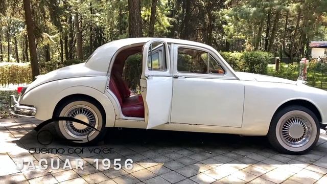 JAGUAR 1956