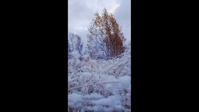 сибирские пейзажи