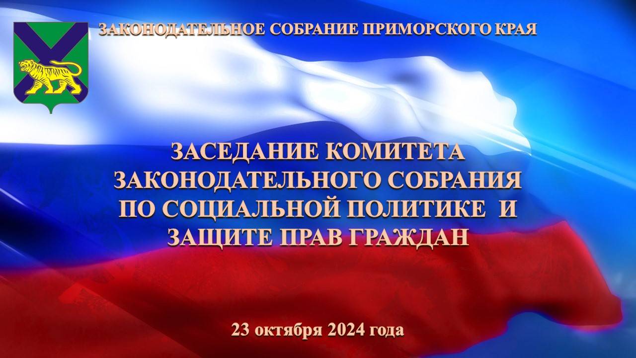 Заседание комитета по социальной политике и защите прав граждан 23.10.2024