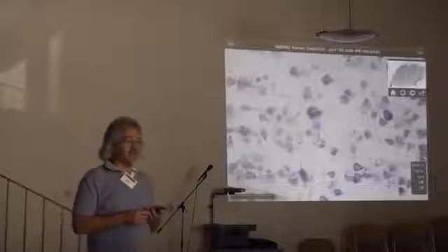 EuroTcl 2013: The Power Behind Einstein's Brain by Steve Landers & Steve Redler IV (part 2/3)