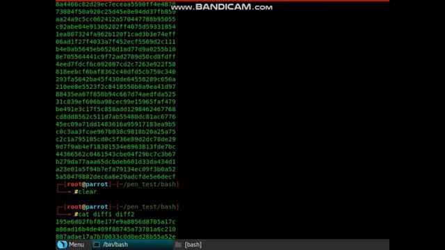 Penetration Testing Module 2 Section 4 Part 2: More on Linux Commands