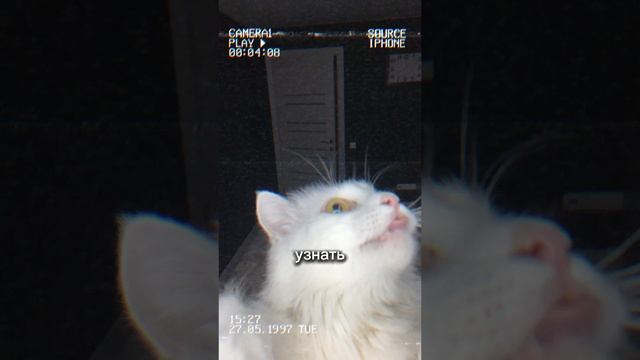Теперь это его квартира 🙀