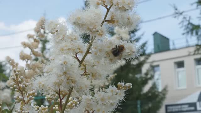 возвращение гончарного круга МК Приют Шатлык