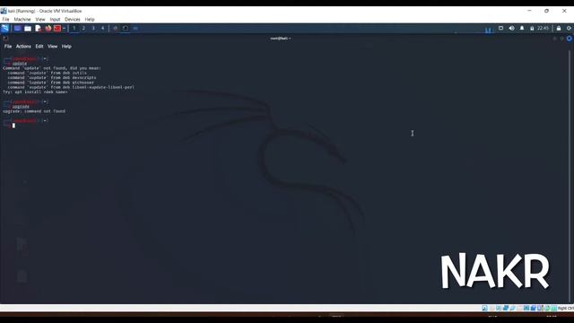 How to update packages in Kali Linux
