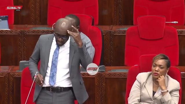 "TUHESHIMIANE MAWAZIRI NIPO SERIOUS - SUMVE HAKUNA HATA MITA MOJA ya LAMI" - MBUNGE MAGENI BUNGENI.