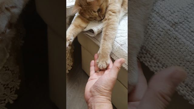 VN20241023_082003.mp4