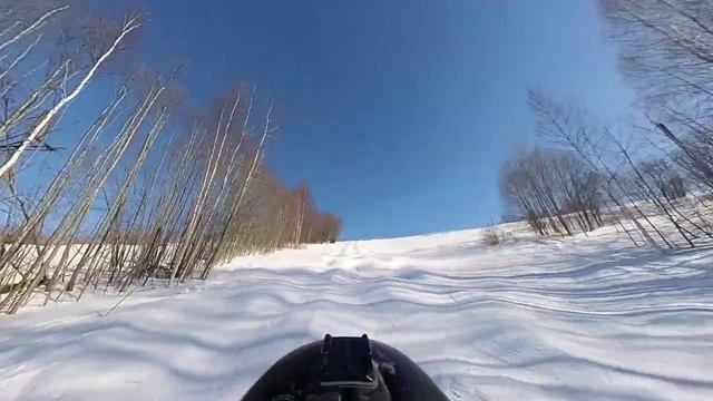 Волен,могул,пытаюсь не сдохнуть.