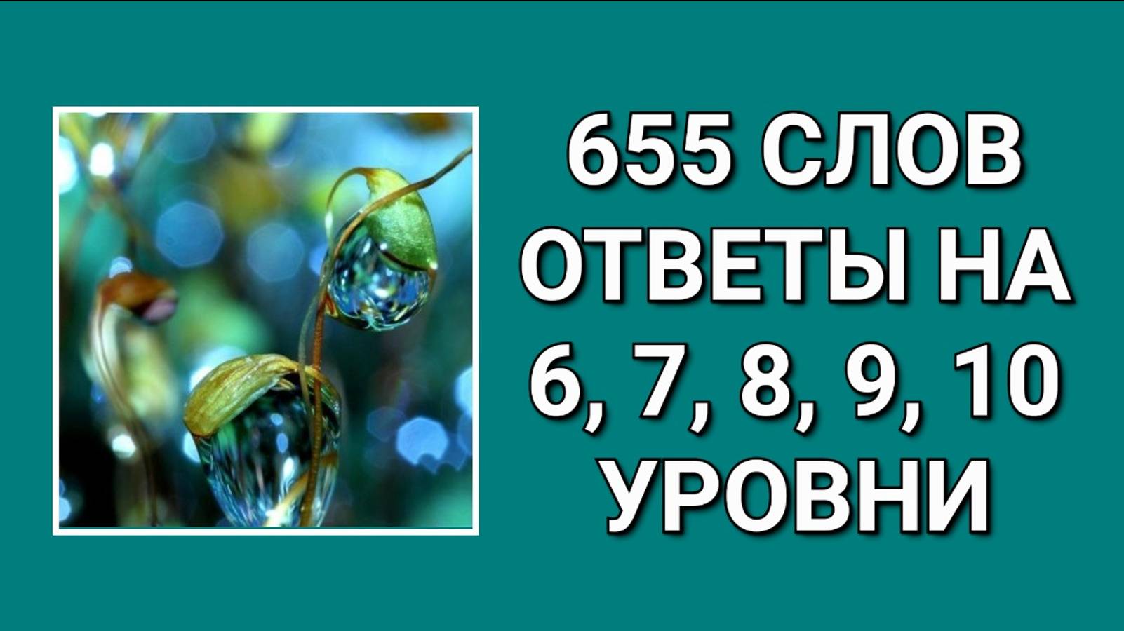 Словесная игра 655 слов ответы на 6, 7, 8, 9, 10 уровни