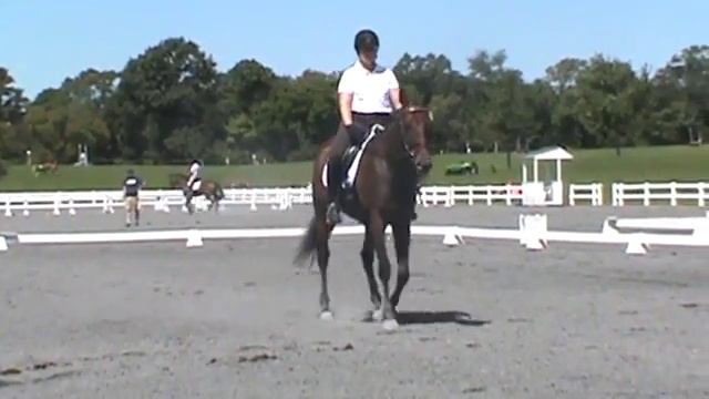 Bear MD Starter Trials Sept 2014