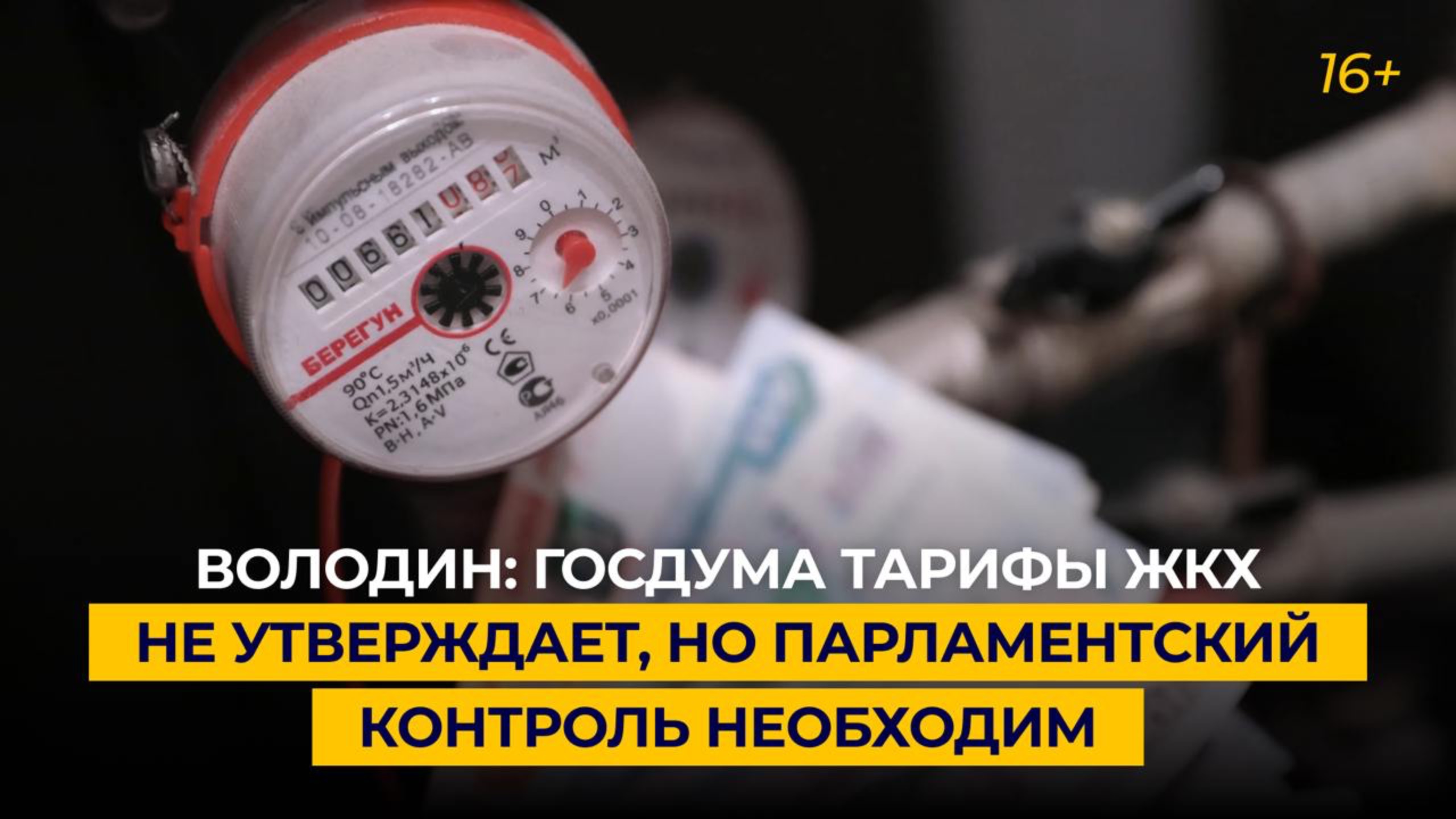 Володин: Госдума тарифы ЖКХ не утверждает, но парламентский контроль необходим