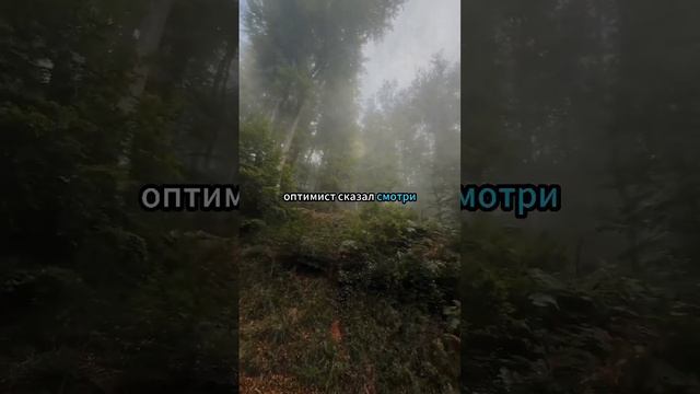 Оптимист или Пессимист? Как Выбор Меняет Твою Жизнь  #shorts #притча #мудрость #психология
