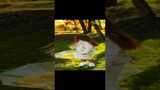 Осенние мгновения. Красота и мимолётность осенних дней. #shorts