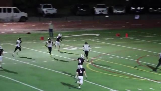 Lincoln's Garett Cheadle scores on a 70-yard touchdown run
