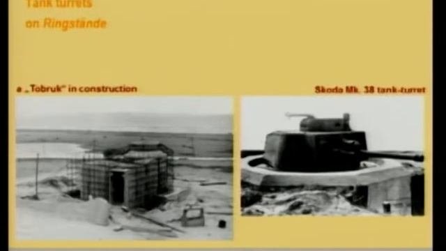 20 - The Re-use Of Foreign  And Domestic Armament And Armour During Costruction Of The Atlantikwall