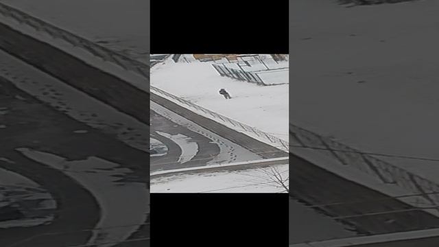у нас пока новый год