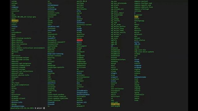 4. The Linux File System (/BIN, /BOOT, /DEV, /ETC)- Devops Fundamentals