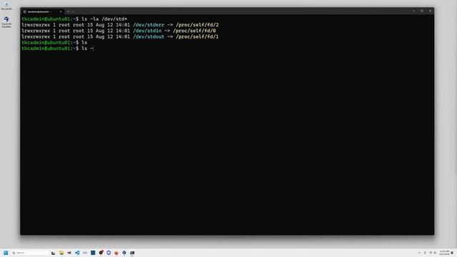 Lab: Linux Shell Commands and Utilities 01